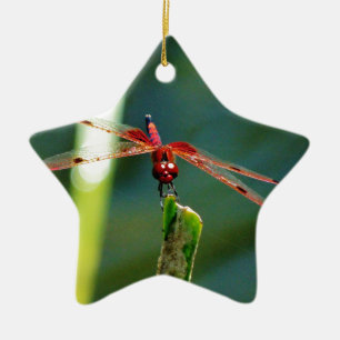 Frontal Red and Black Dragonfly Ceramic Ornament