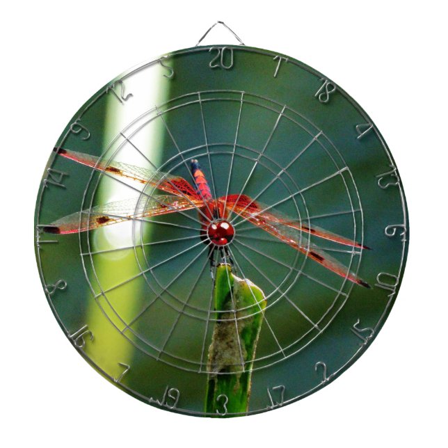Frontal Red and Black Dragonfly Dartboard (Front)