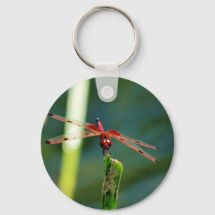 Frontal Red and Black Dragonfly Keychain