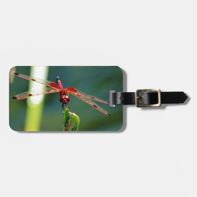 Frontal Red and Black Dragonfly Luggage Tag (Front Horizontal)