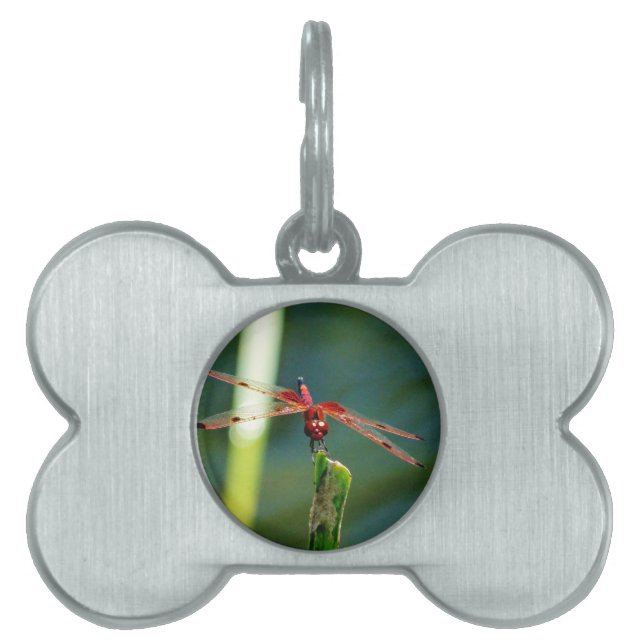 Frontal Red and Black Dragonfly Pet ID Tag (Front)