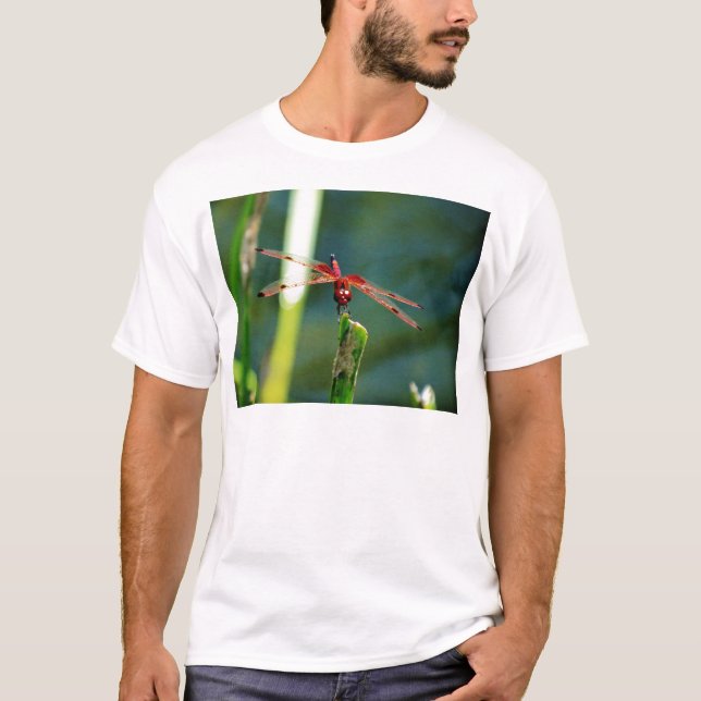 Frontal Red and Black Dragonfly T-Shirt (Front)