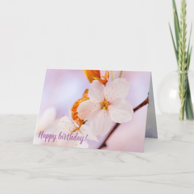 Frontal View Of Sakura Flower In The Spring Season Card (Front)