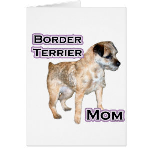 Frontière Terrier Maman 4