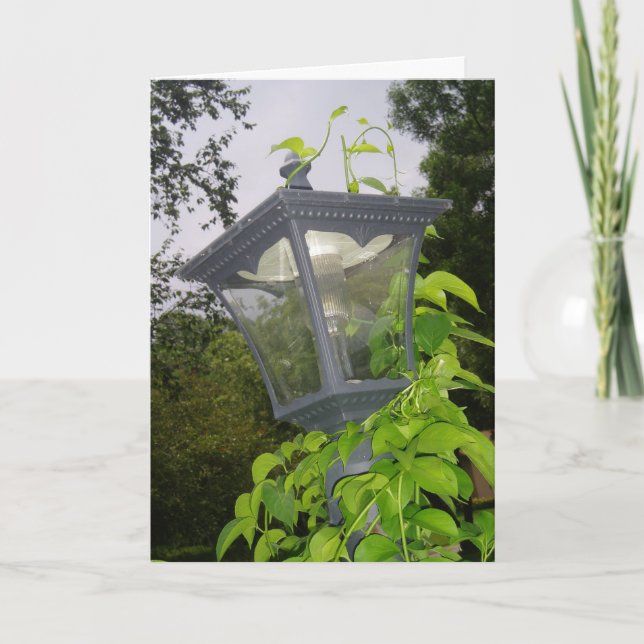 "Frontyard Streetlight" Birthday Card (Front)