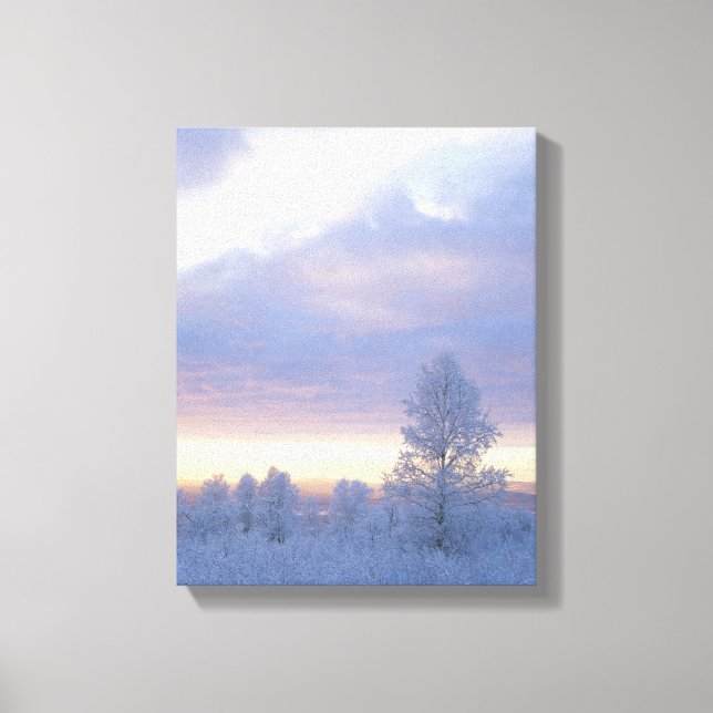Frost-Covered Forest Canvas Print (Front)