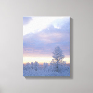 Frost-Covered Forest Canvas Print