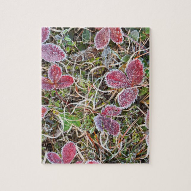 Frost covered leaves, Canada Jigsaw Puzzle (Vertical)