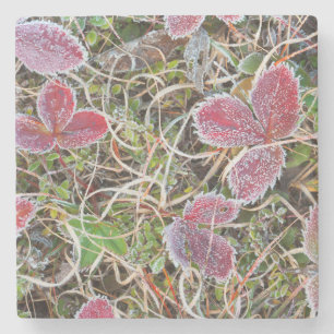 Frost covered leaves, Canada Stone Coaster
