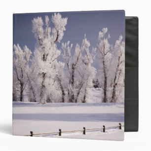 Frost Covered Trees and Fence, Colorado Binder