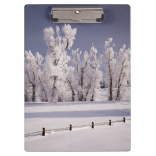 Frost Covered Trees and Fence, Colorado Clipboard