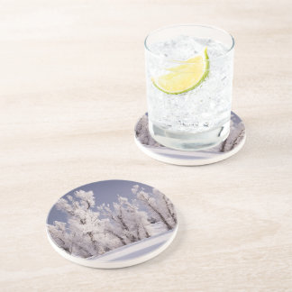 Frost Covered Trees and Fence, Colorado Coaster