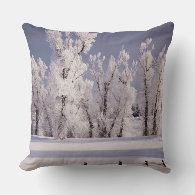 Frost Covered Trees and Fence, Colorado Throw Pillow (Front)