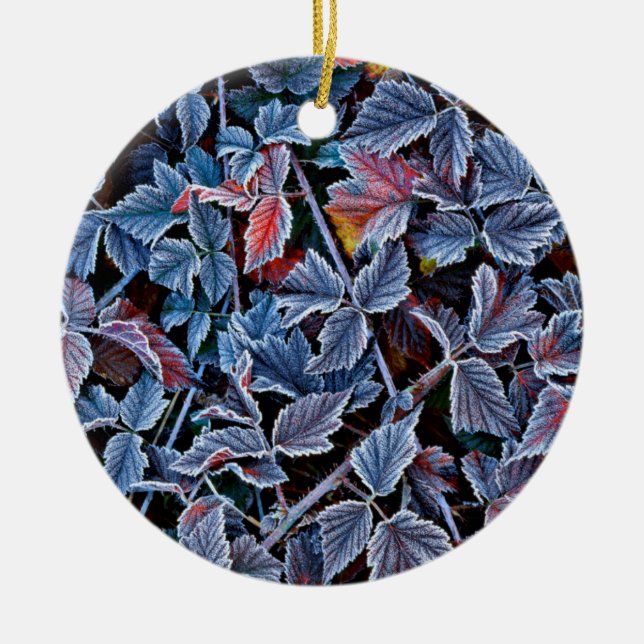 Frost on autumn leaves, Oregon Ceramic Ornament (Front)