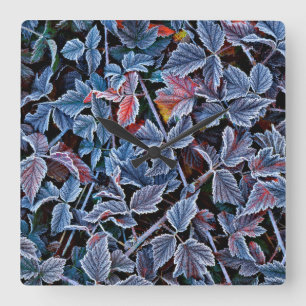 Frost on autumn leaves, Oregon Square Wall Clock