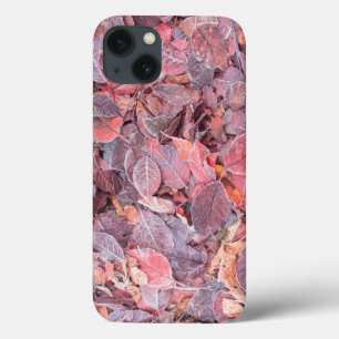 Frost on fallen leaves, Fall colours, Mill Creek iPhone 13 Case