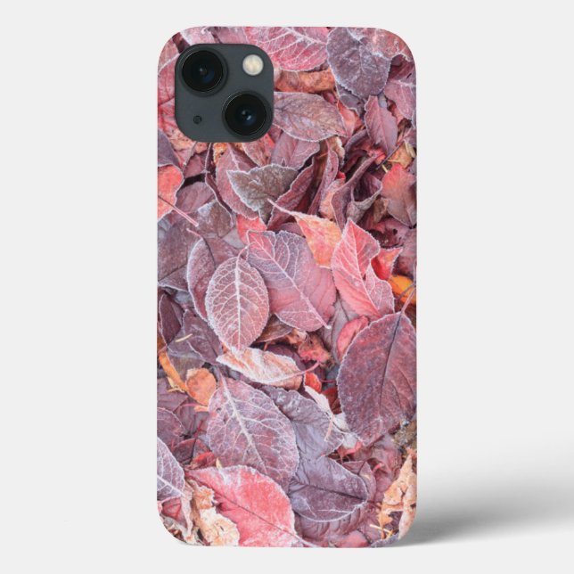 Frost on fallen leaves, Fall colours, Mill Creek Case-Mate iPhone Case (Back)