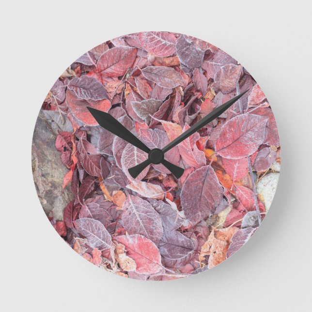 Frost on fallen leaves, Fall colours, Mill Creek Round Clock (Front)