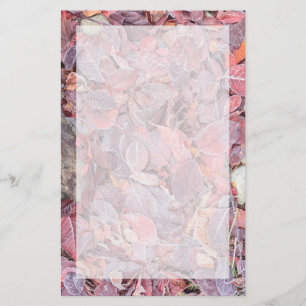Frost on fallen leaves, Fall colours, Mill Creek Stationery