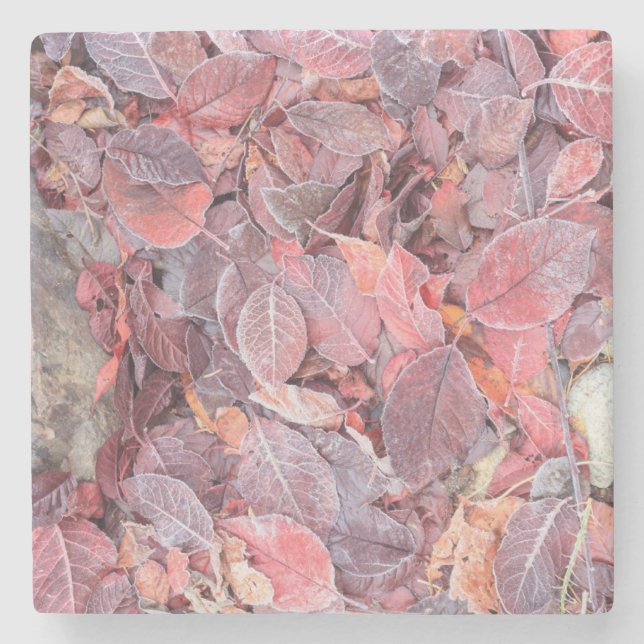 Frost on fallen leaves, Fall colours, Mill Creek Stone Coaster (Front)