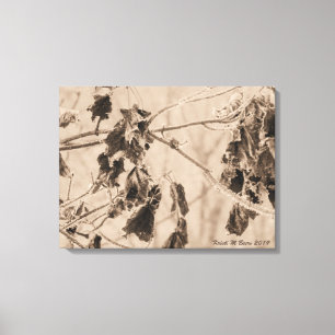Frost on Leaves in Winter Canvas Print