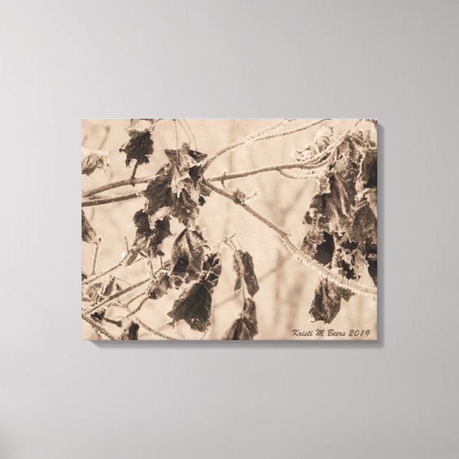 Frost on Leaves in Winter Canvas Print (Front)