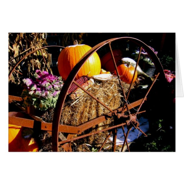 Frost On the Pumpkin (Front Horizontal)