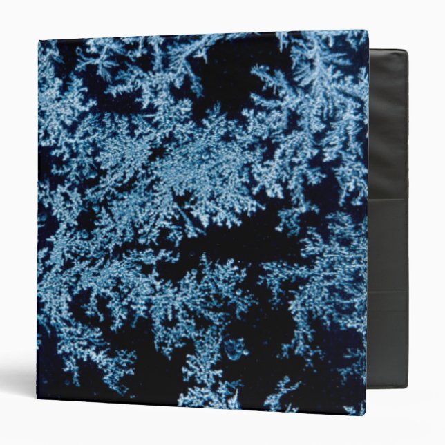 Frost patterns close-up, California Binder (Front/Inside)