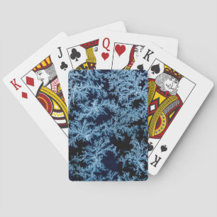 Frost patterns close-up, California Playing Cards
