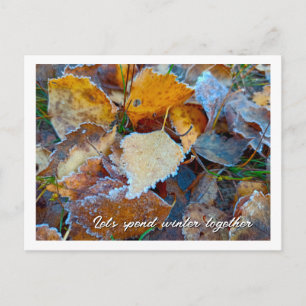 Frosted Autumn Leaves Custom Postcard