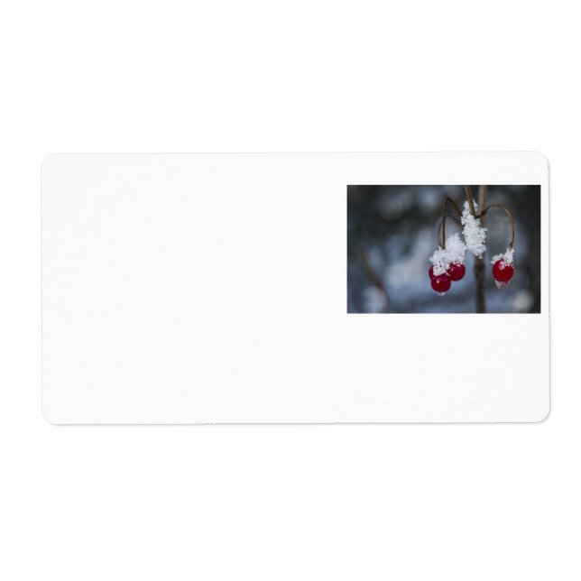 Frosted Berries (Front)