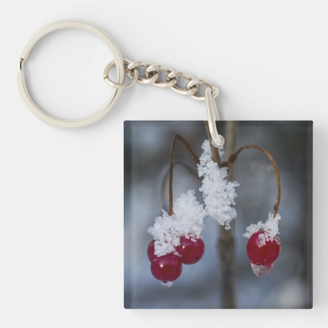Frosted Berries Keychain (Front)