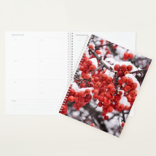 Frosted Berries Planner (Display)