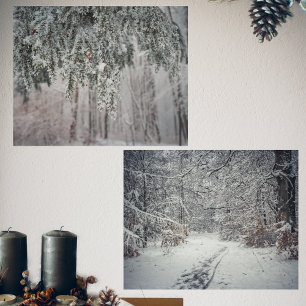 Frosted branches and a snow-covered forest
