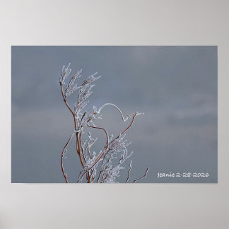 Frosted bush poster