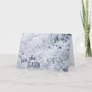 Frosted Christmas Snow Crystals  Holiday Card