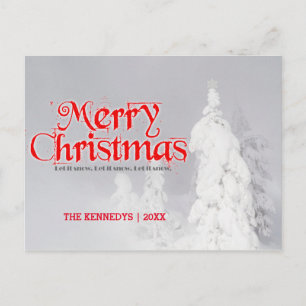Frosted Lodgepole Pine Trees Postcard