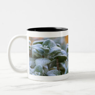 Frosted plant in a garden Two-Tone coffee mug