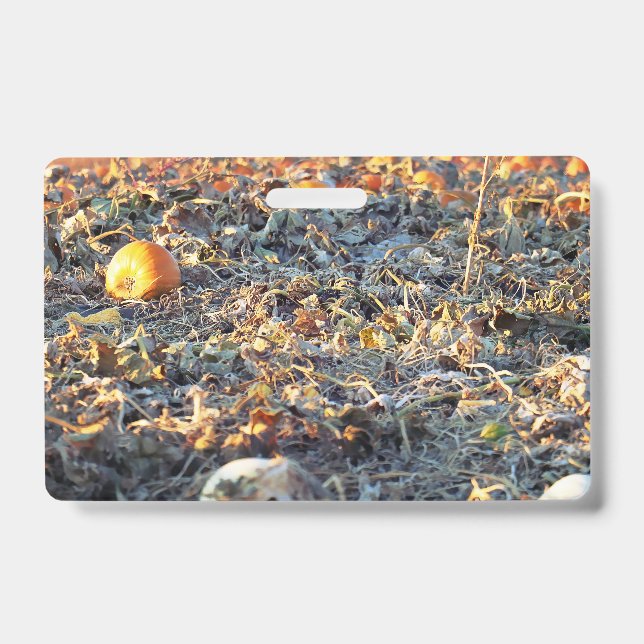 Frosted Pumpkin Patch  Badge (Front)