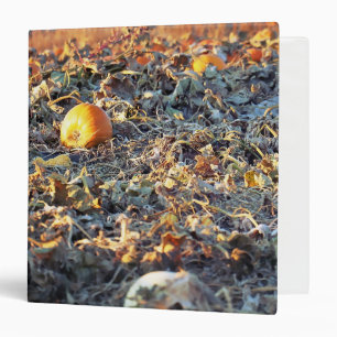 Frosted Pumpkin Patch  Binder