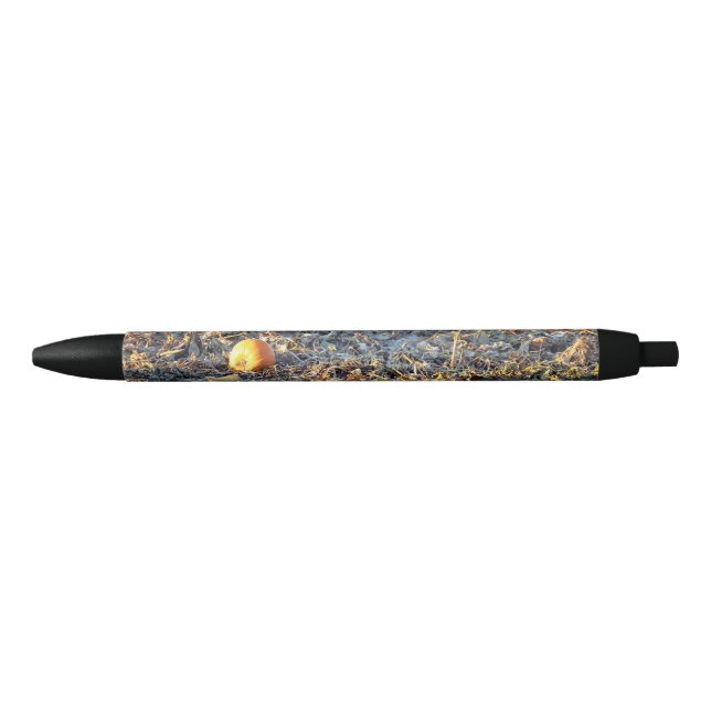 Frosted Pumpkin Patch  Black Ink Pen (Front)