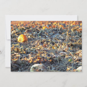Frosted Pumpkin Patch Invitation