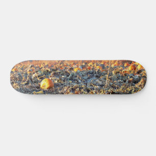 Frosted Pumpkin Patch Skateboard