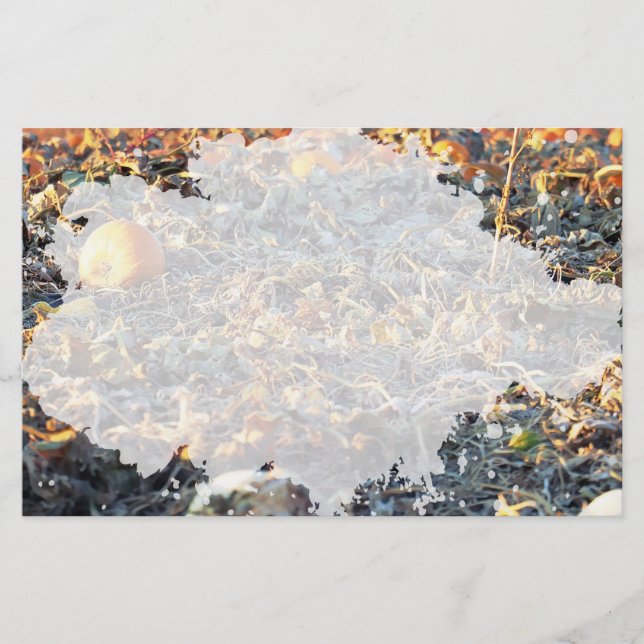 Frosted Pumpkin Patch  Stationery (Front)