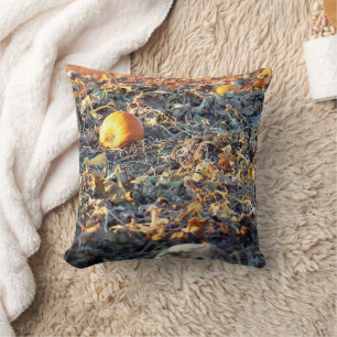 Frosted Pumpkin Patch Throw Pillow