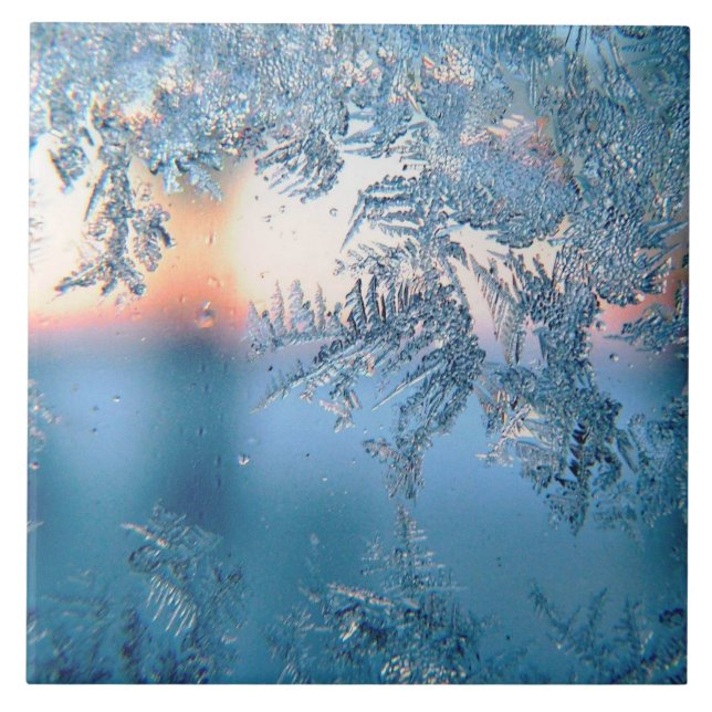 Frosted View Tile (Front)