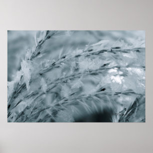 Frosted Wheat Poster