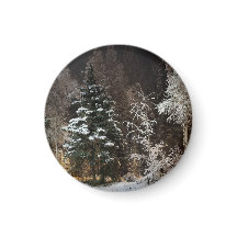 Frosted Winter Forest Aesthetic