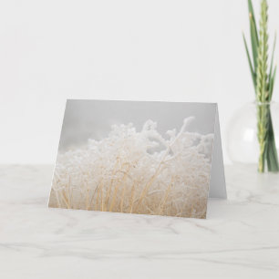 Frosted Winter Grasses Card