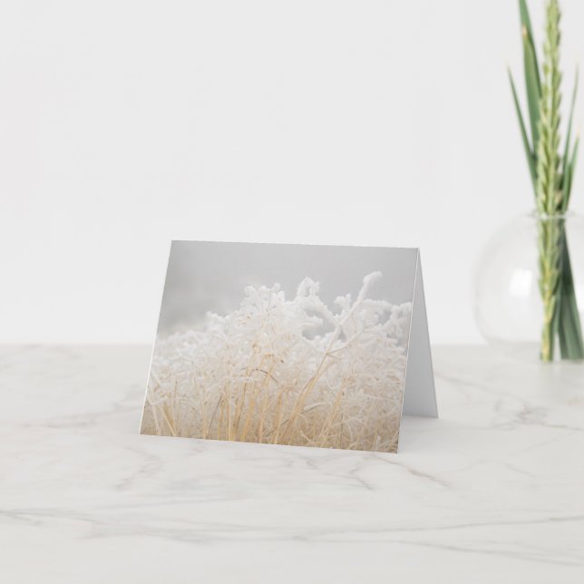 Frosted Winter Grasses Note Card (Front)